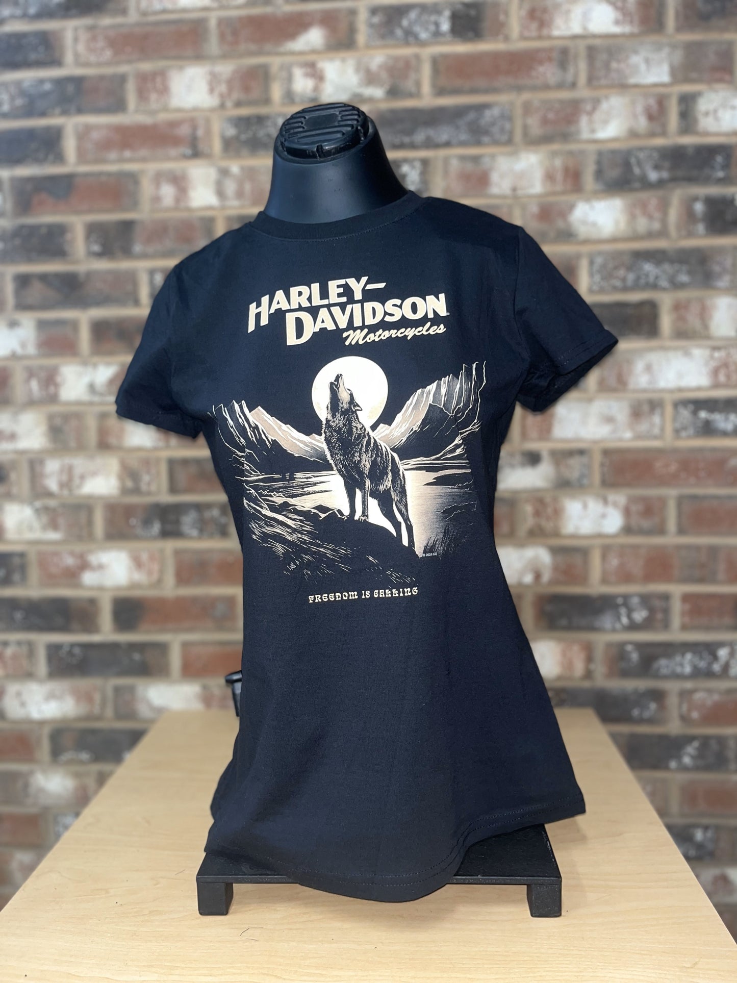 Freedom is Calling Women's T-Shirt