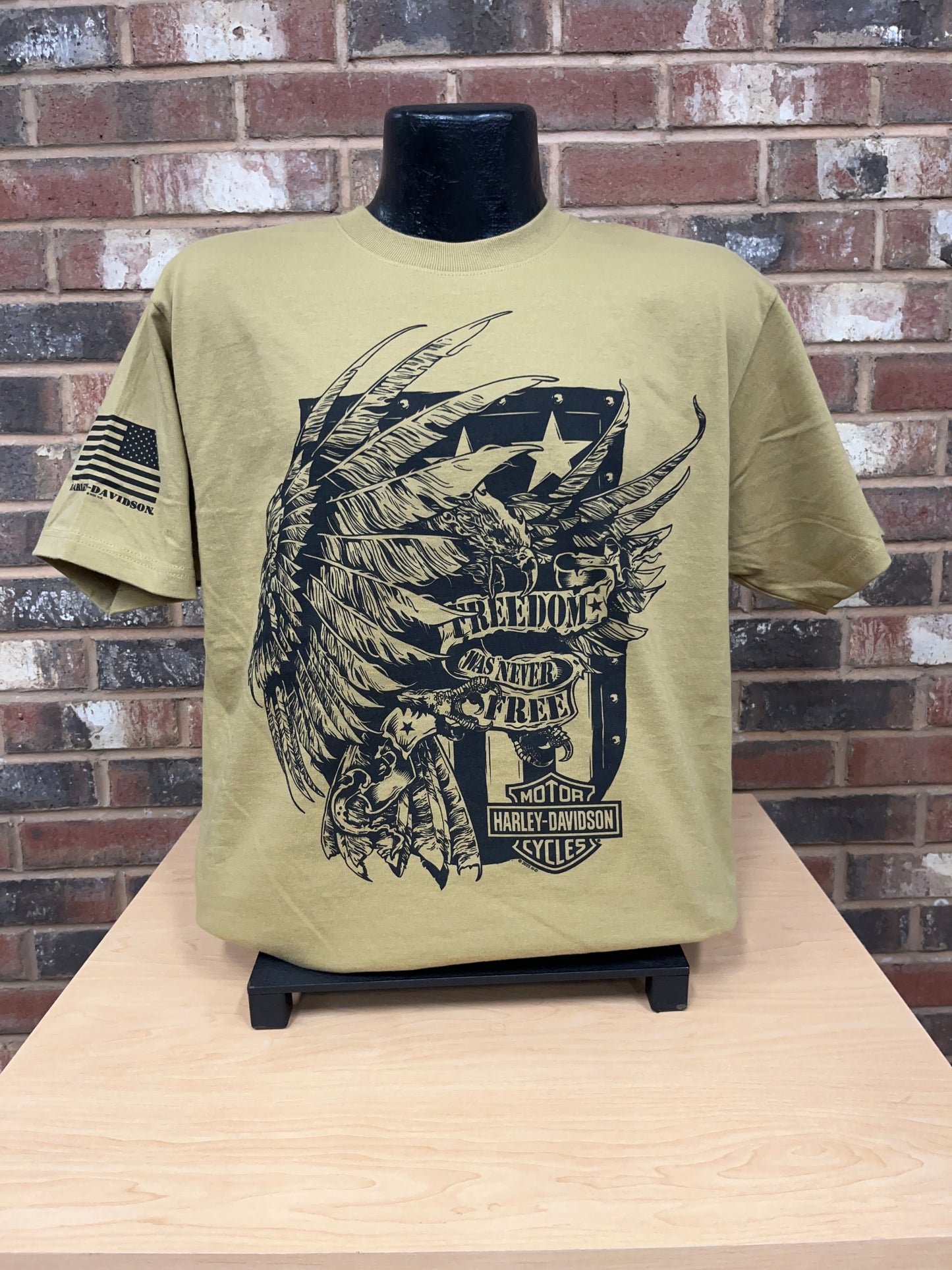 Freedom Eagle Men's T-Shirt