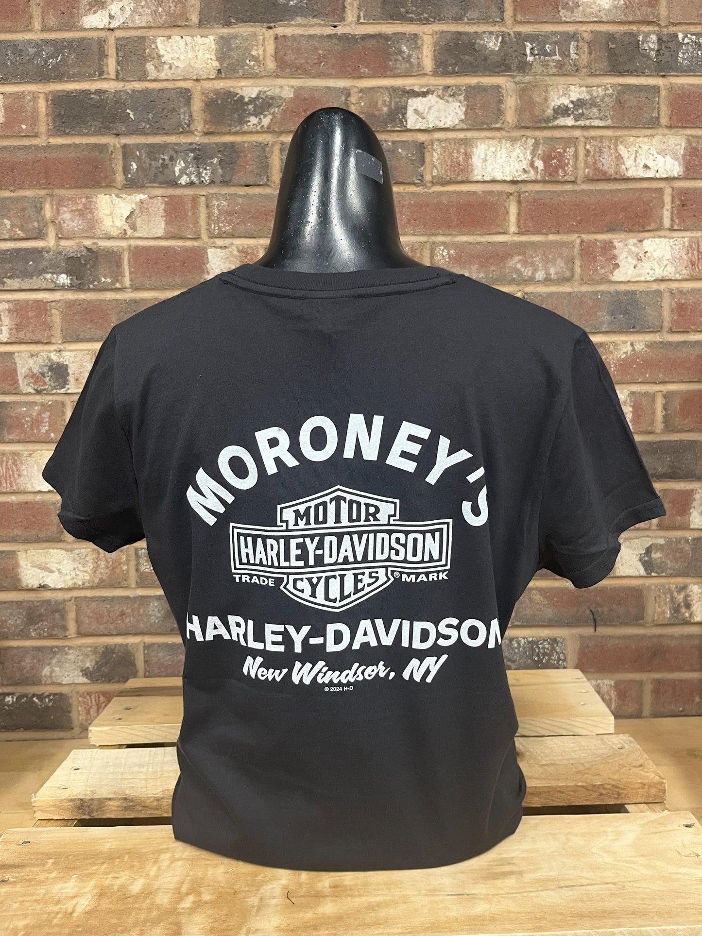 Sparkle Wing Women's T-Shirt
