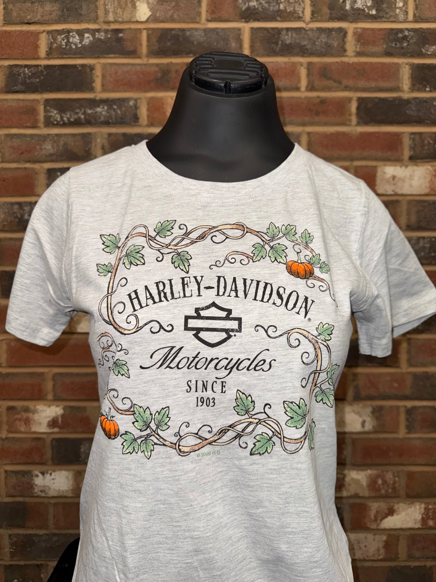 H-D Rustic Women’s T-Shirt