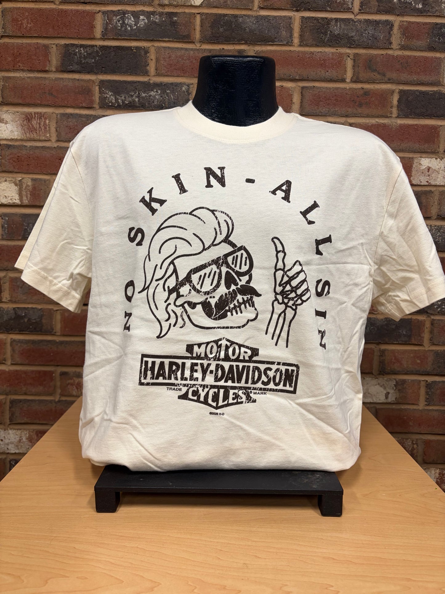 H-D All Sin Men's T-Shirt