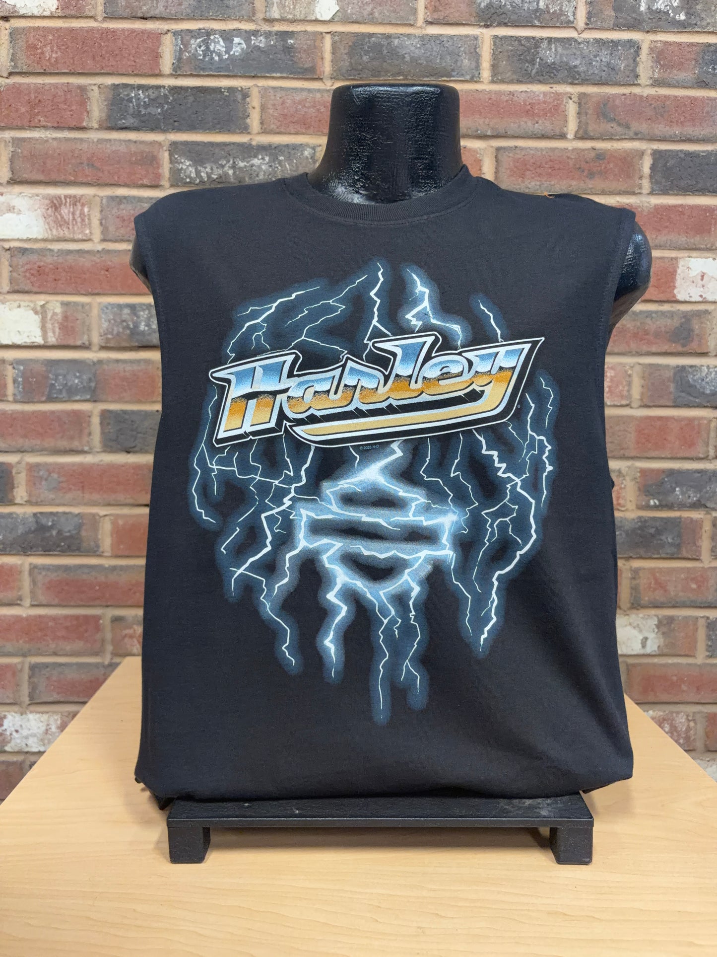 H-D Storm Signal Men's T-Shirt