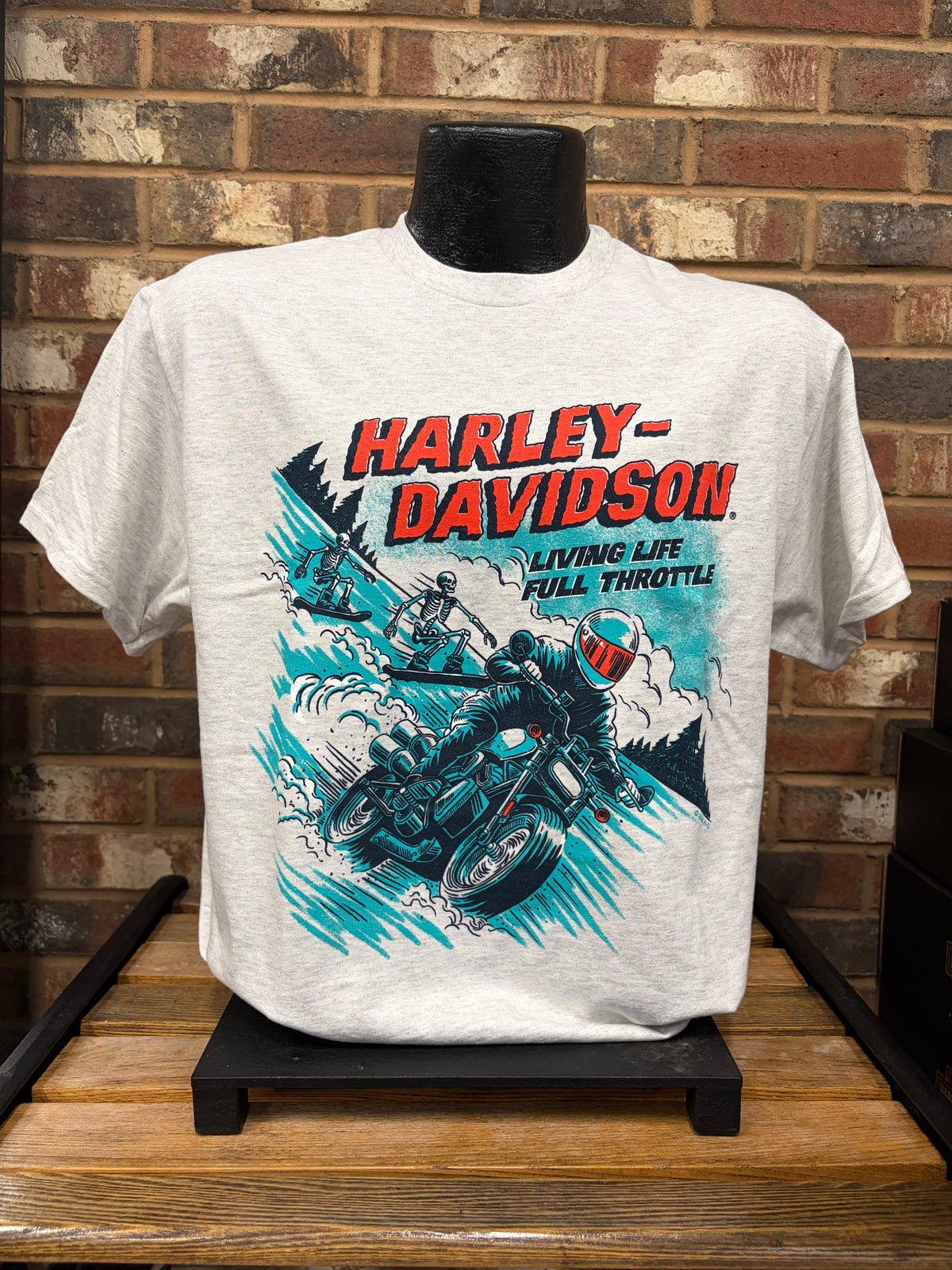 H-D Alpine Men's T-Shirt
