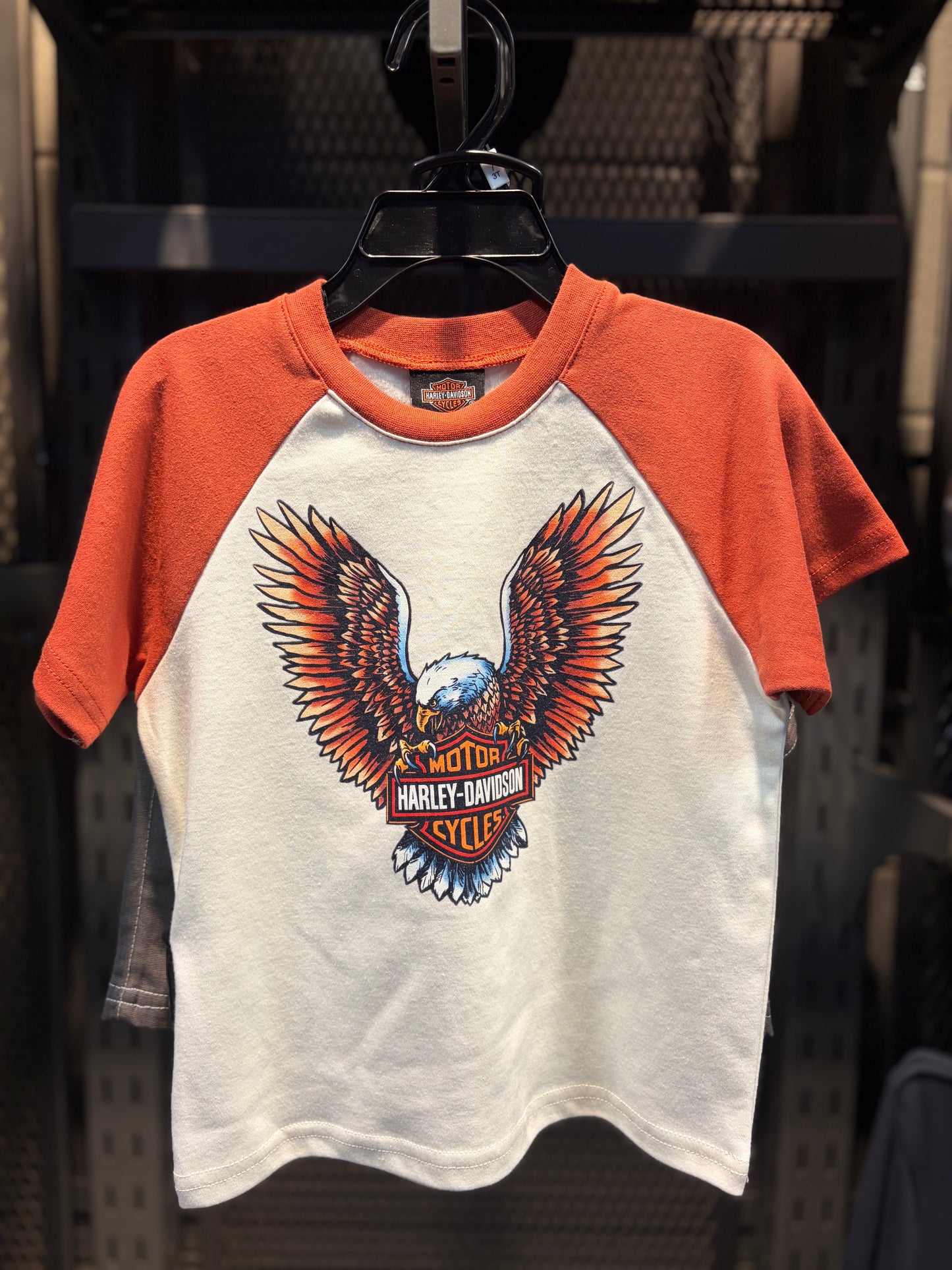 H-D Boy's Raglan Tee & Canvas Short Set