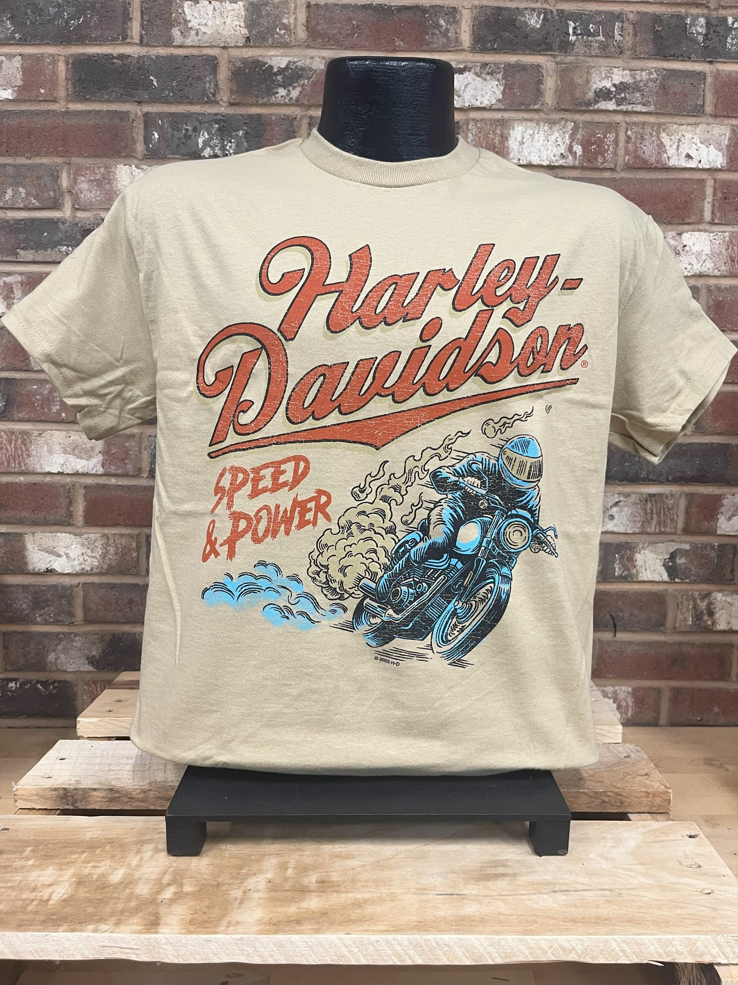 H-D Buzz Men's T-Shirt