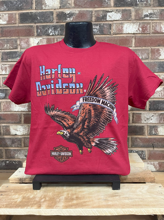 H-D Soar Men's T-Shirt