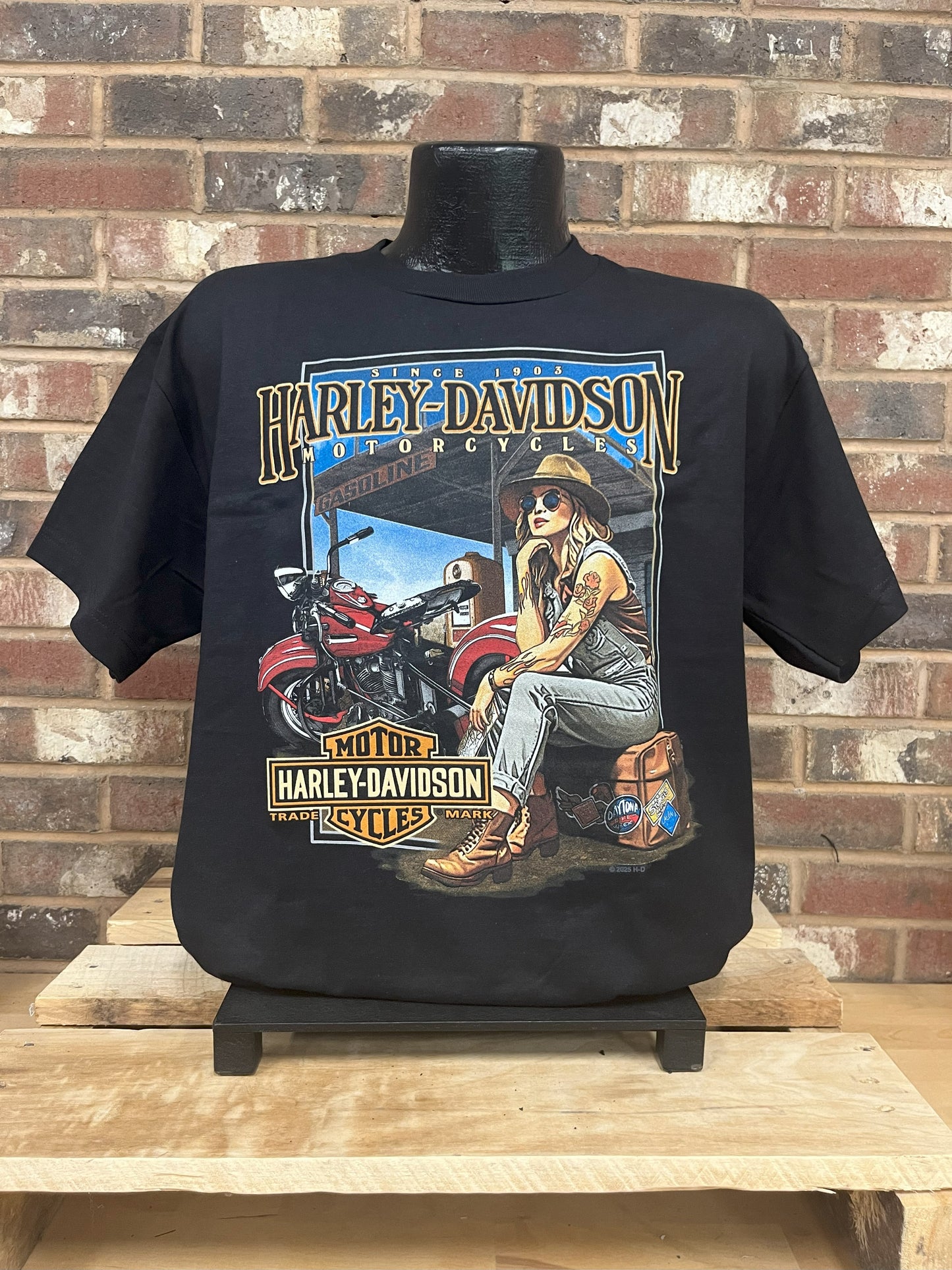 H-D Hangin' Out Men's T-Shirt