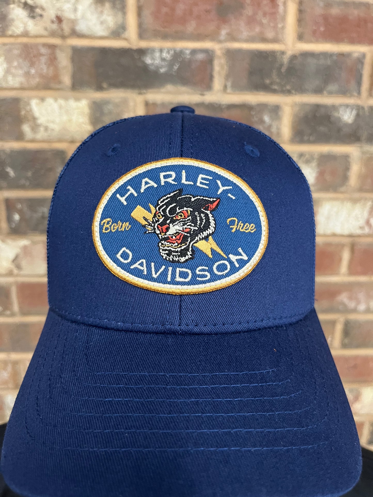 H-D Panther Hat